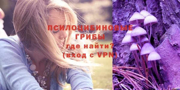 СК Карпинск