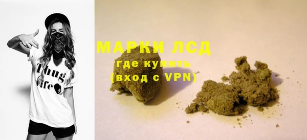 ГАЛЛЮЦИНОГЕННЫЕ ГРИБЫ Касимов