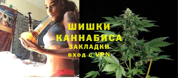 ГАЛЛЮЦИНОГЕННЫЕ ГРИБЫ Касимов