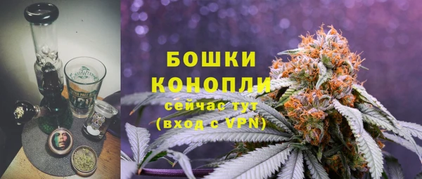 ГАЛЛЮЦИНОГЕННЫЕ ГРИБЫ Касимов