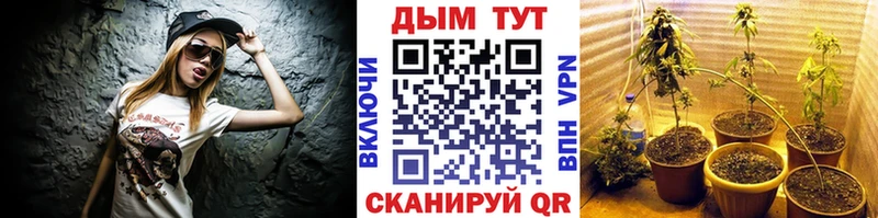 Канабис Ganja Закаменск